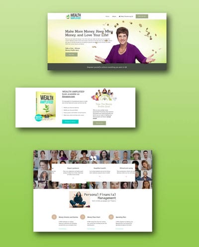 Web Portfolio. Wealth Amplified website by Affinity for Design